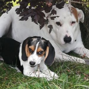 Meet your Posher, Tracey